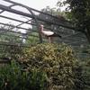 Daniel Knieling955 - @danielknieling955 - TikTok
