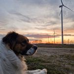 Daniel Knipper - @danielknipper - Instagram