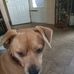 Danny J Knisely - Facebook