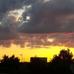 daniel knisley - @danielwayne66 - Instagram