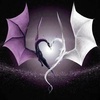Daniel Knobloch216 - @user2114477854218 - TikTok