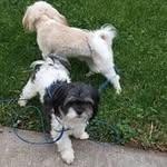 Daniel Knockel - @danielknockel - Instagram