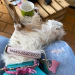 Daniel Knopf - @knopf538 - Instagram