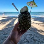 Daniel Knopp - @daniel.knopp.733 - Instagram