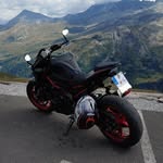 Daniel Knust - @daniel__knust - Instagram