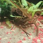 Daniel Knuth - @knuth5981 - Instagram