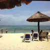 danielkochanski_ - @danielkochanski_ - TikTok
