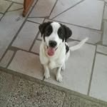 Daniele Kocjan - @danielekocjan - Instagram