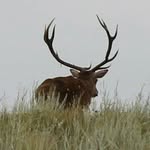 Daniel Kolman - @danielkolman13 - Instagram