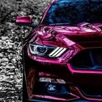 Daniel Komorowski - @komorowski120 - Instagram