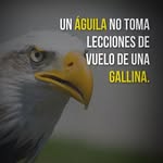 Daniel Angel Kopel Gonzalez - @danielkopel_ - Instagram