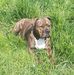 Daniel Krebs - Facebook