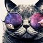 Daniel Kubala - @vasser_4442__lenard - Instagram