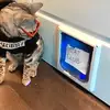 Daniel Kubler - @daniel.kubler - TikTok
