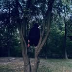 Daniel Kucharek - Facebook