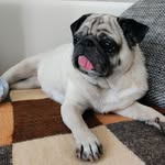 Daniel Küchler - @darkdan79 - Instagram