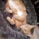 Daniel - @daniel_kudasev - Instagram