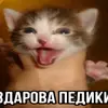 . - @danielkudaiberdie - TikTok