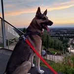jan janek - @danielkudomycia - Instagram