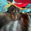 Daniel Kujawa - @daniel.kujawa6 - TikTok