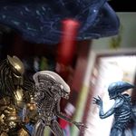 Daniel Kulcsár - @daniel.kulcsar.735 - Instagram