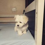 Daniel321 - @daniel.kuligowski - Instagram