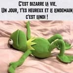 Daniel Kuligowski - Facebook