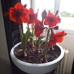 Daniel Kuligowski - @daniel.kuligowski.716 - Instagram