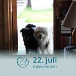 Erik Ulseth Danielsen - @erikevaskjaereste - Instagram