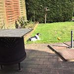 Danilo Kunath - @danilo_kunath - Instagram