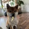 daniel_kunin - @daniel_kunin - TikTok