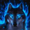 Daniel Kurek - @ice_wolf562 - TikTok