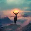 Daniel - @danielkurkowski - TikTok