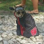 Carlos Daniel kurth - @kurthcarlosdaniel - Instagram