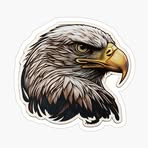 Daniel Kurth - Facebook
