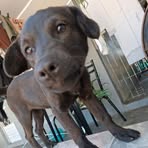 Daniel Kurz - Facebook