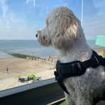 Daniel Kurz - @danku0909 - Instagram