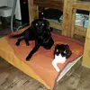 danielkurz255 - @danielkurz255 - TikTok