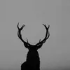Daniel Kurzawski - @daniel.kurzawski - TikTok