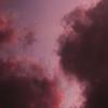 Parzivall - @daniel.kusak - TikTok