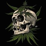 PSN: RED__RUM WITH 2 _ - @danielkuska - Instagram