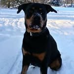 Daniel Kusz - @daniel.kusz.984 - Instagram