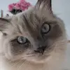 Dani - @danielakuzel - TikTok