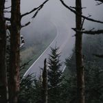 Daniel Kuznetsov - @savenotplayer - Instagram
