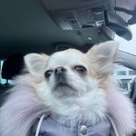 Daniel kuznetsov - @danielkuznetsov10 - Instagram