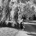 Daniel Kulheim - Facebook