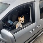 Daniel Kwiatek - @daniel.kwiatek.75 - Instagram