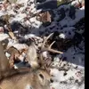 Daniel Kyle🫠 - @daniel.kyle64 - TikTok