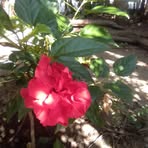Daniel Labarca - Facebook