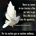 Daniel Labarca - @daniel.labarca.12382 - Instagram